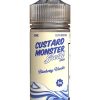 Custard Monster Swirl Blueberry Vanilla